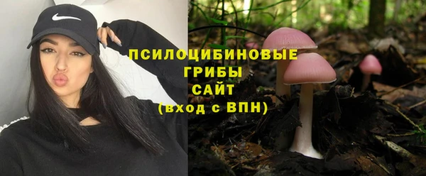 ALPHA-PVP Бердск