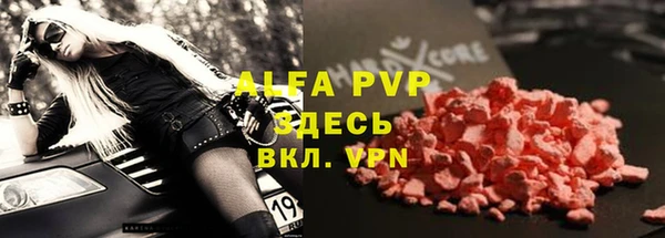 шишки Ачинск