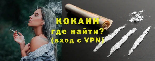шишки Ачинск
