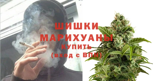 шишки Ачинск