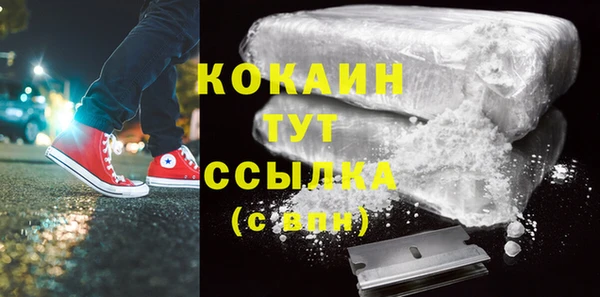шишки Ачинск