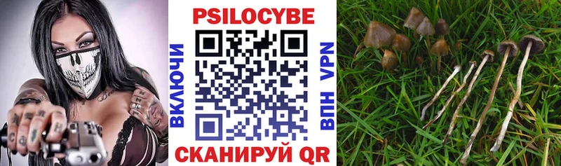 Псилоцибиновые грибы MAGIC MUSHROOMS  Бавлы 